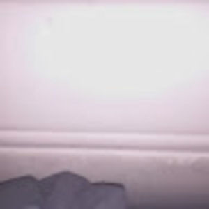 Meet your Posher, Deedra